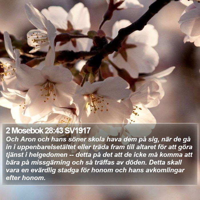 2 Mosebok 28:43 SV1917 Bible Study