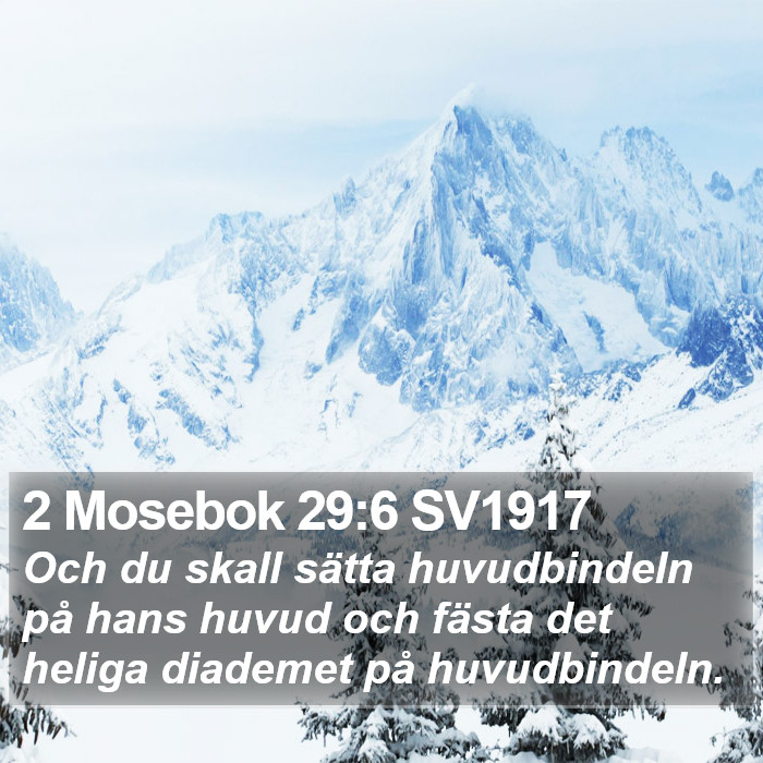 2 Mosebok 29:6 SV1917 Bible Study