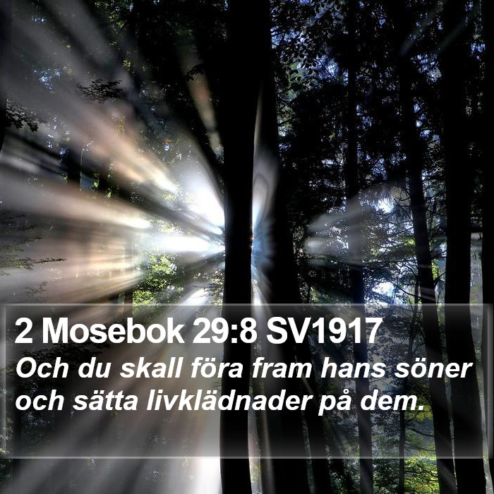 2 Mosebok 29:8 SV1917 Bible Study