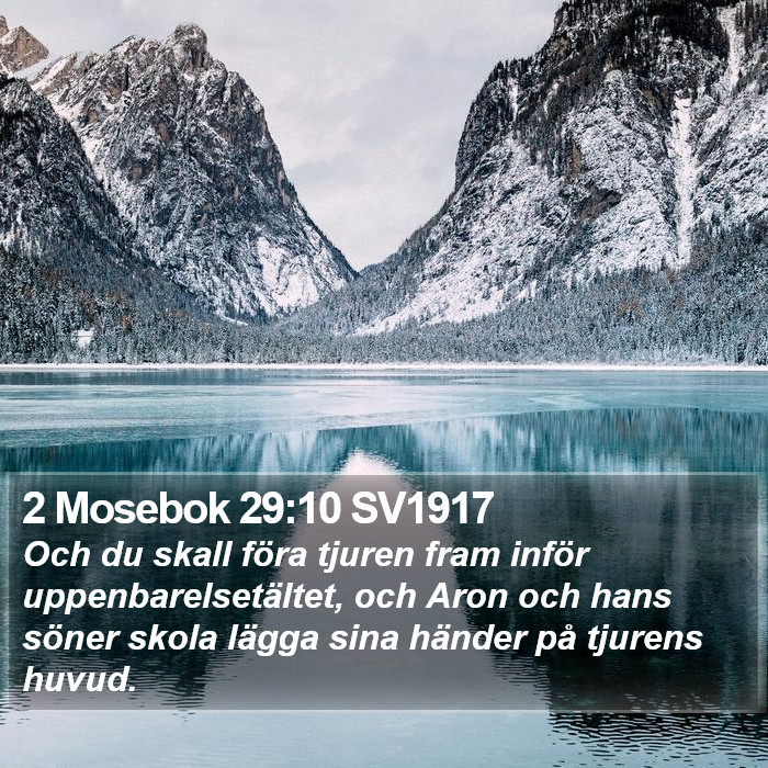 2 Mosebok 29:10 SV1917 Bible Study