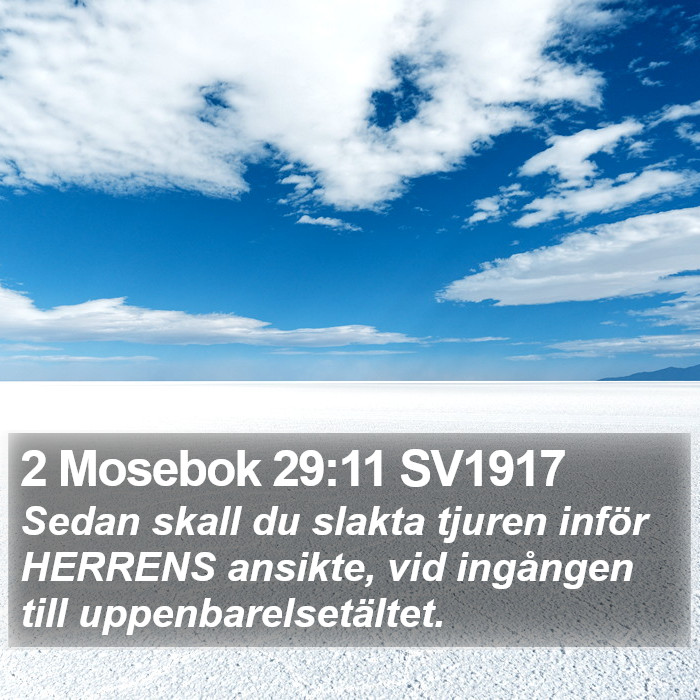 2 Mosebok 29:11 SV1917 Bible Study