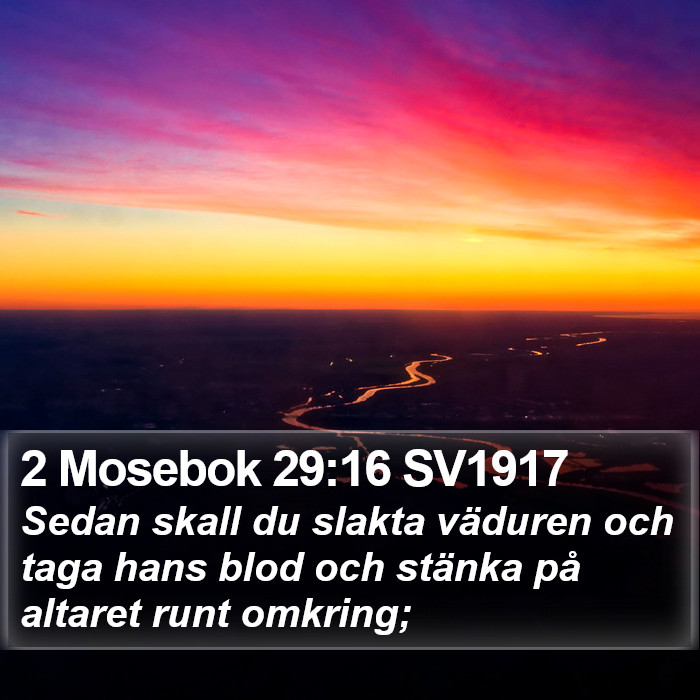 2 Mosebok 29:16 SV1917 Bible Study