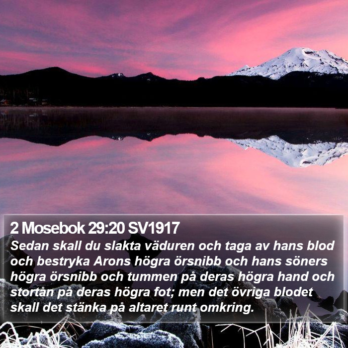 2 Mosebok 29:20 SV1917 Bible Study