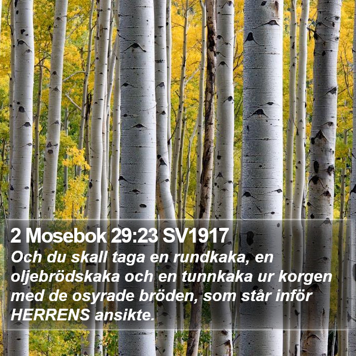 2 Mosebok 29:23 SV1917 Bible Study