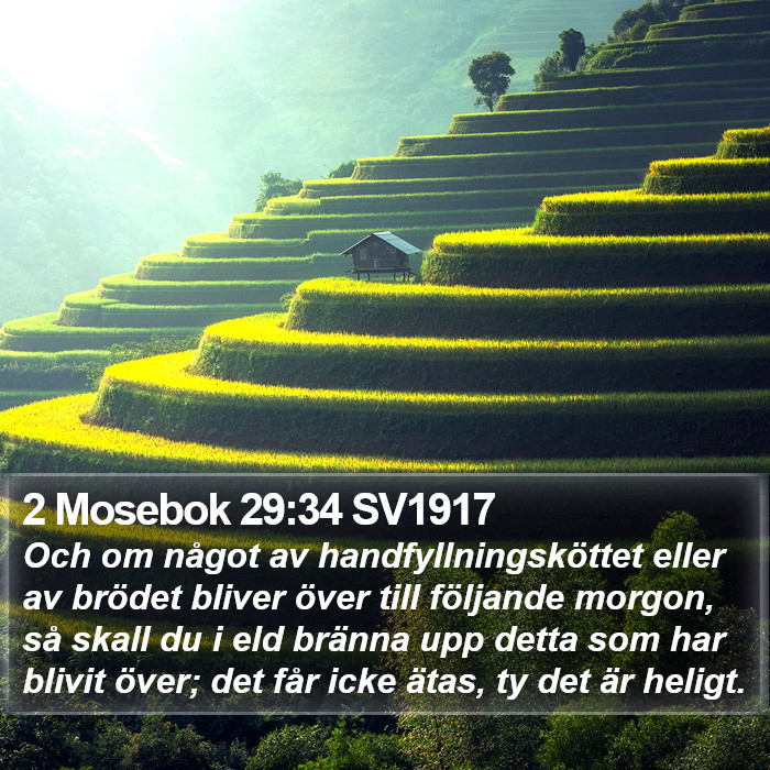 2 Mosebok 29:34 SV1917 Bible Study