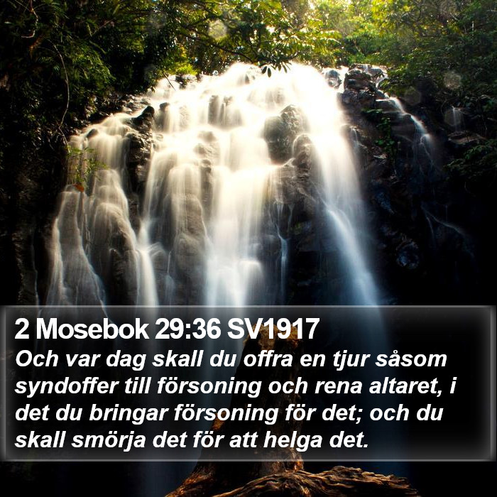 2 Mosebok 29:36 SV1917 Bible Study