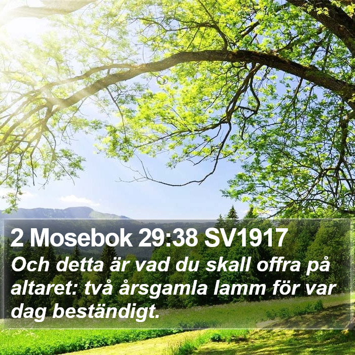 2 Mosebok 29:38 SV1917 Bible Study