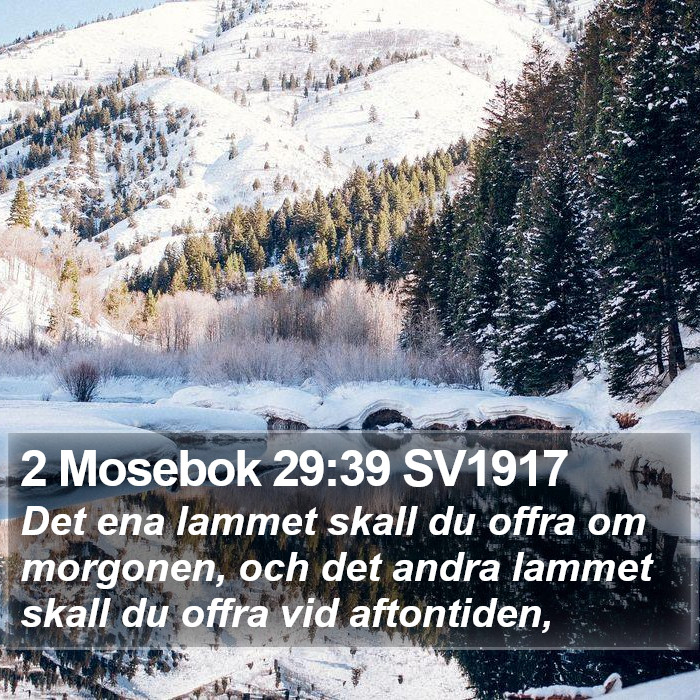 2 Mosebok 29:39 SV1917 Bible Study