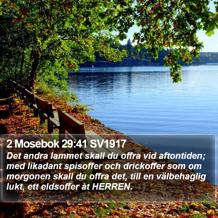 2 Mosebok 29:41 SV1917 Bible Study