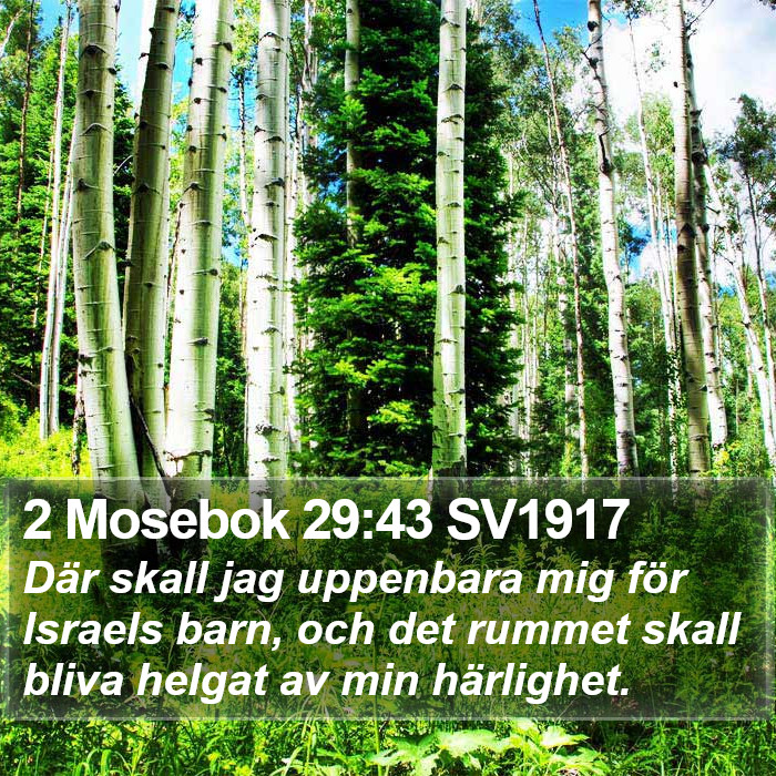 2 Mosebok 29:43 SV1917 Bible Study