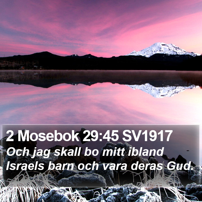 2 Mosebok 29:45 SV1917 Bible Study