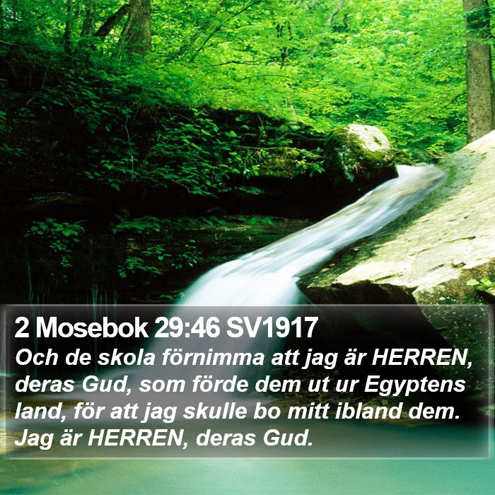 2 Mosebok 29:46 SV1917 Bible Study