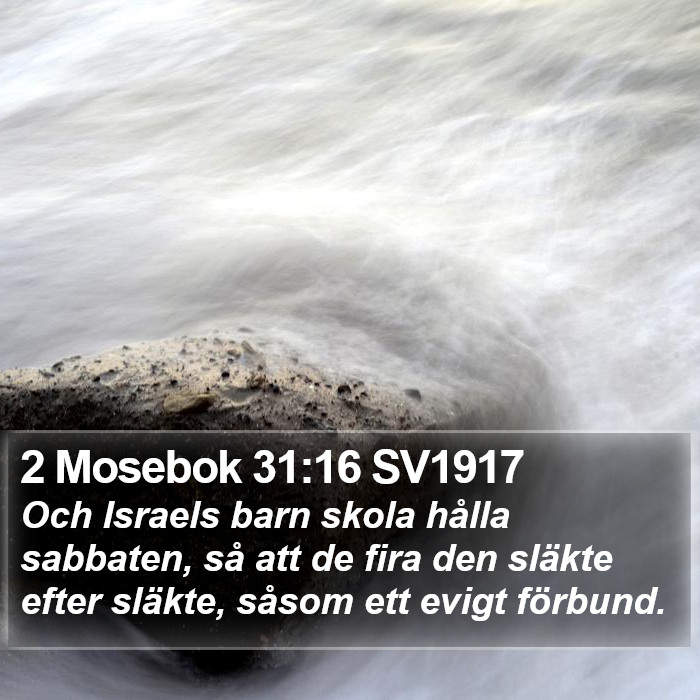2 Mosebok 31:16 SV1917 Bible Study