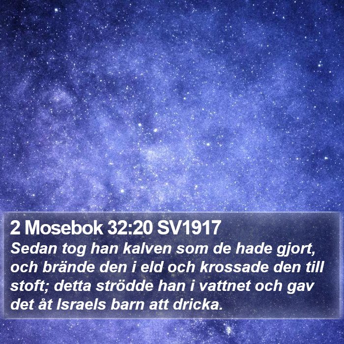 2 Mosebok 32:20 SV1917 Bible Study