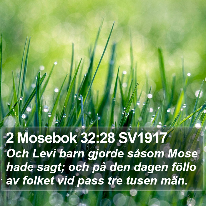 2 Mosebok 32:28 SV1917 Bible Study