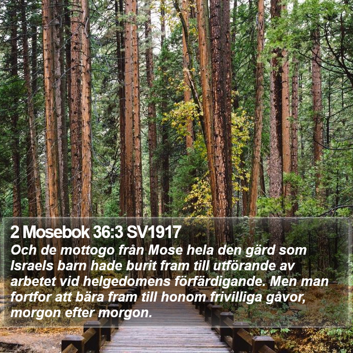 2 Mosebok 36:3 SV1917 Bible Study