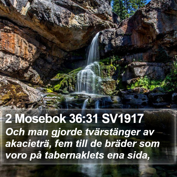 2 Mosebok 36:31 SV1917 Bible Study