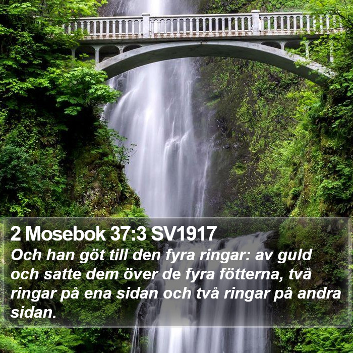 2 Mosebok 37:3 SV1917 Bible Study