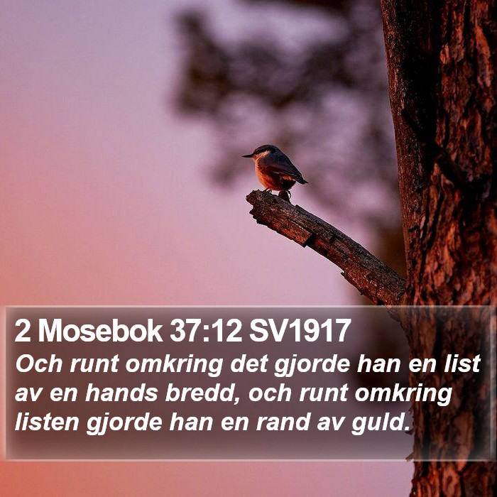 2 Mosebok 37:12 SV1917 Bible Study