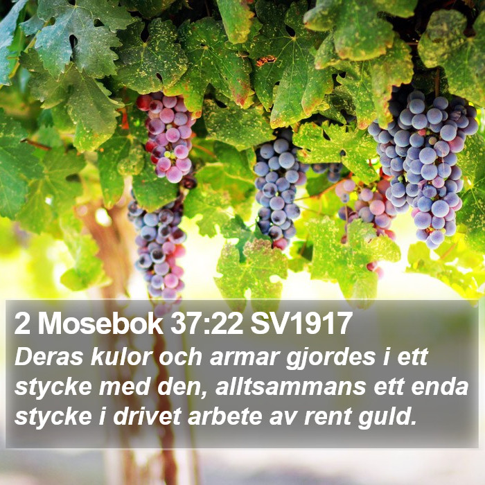 2 Mosebok 37:22 SV1917 Bible Study