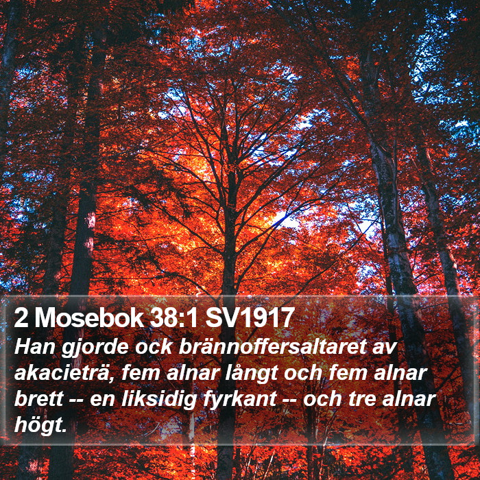 2 Mosebok 38:1 SV1917 Bible Study