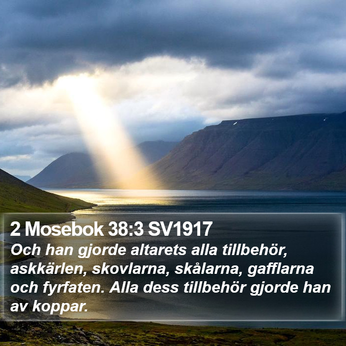 2 Mosebok 38:3 SV1917 Bible Study