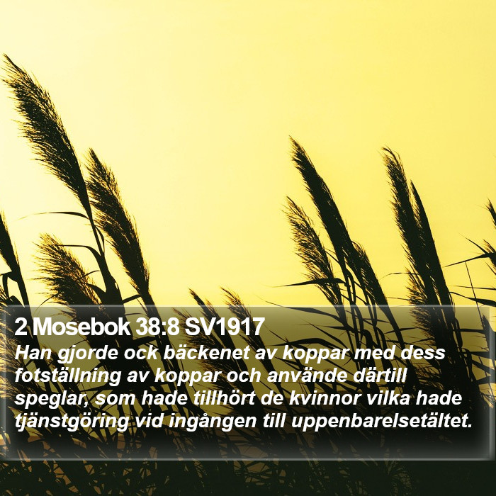 2 Mosebok 38:8 SV1917 Bible Study