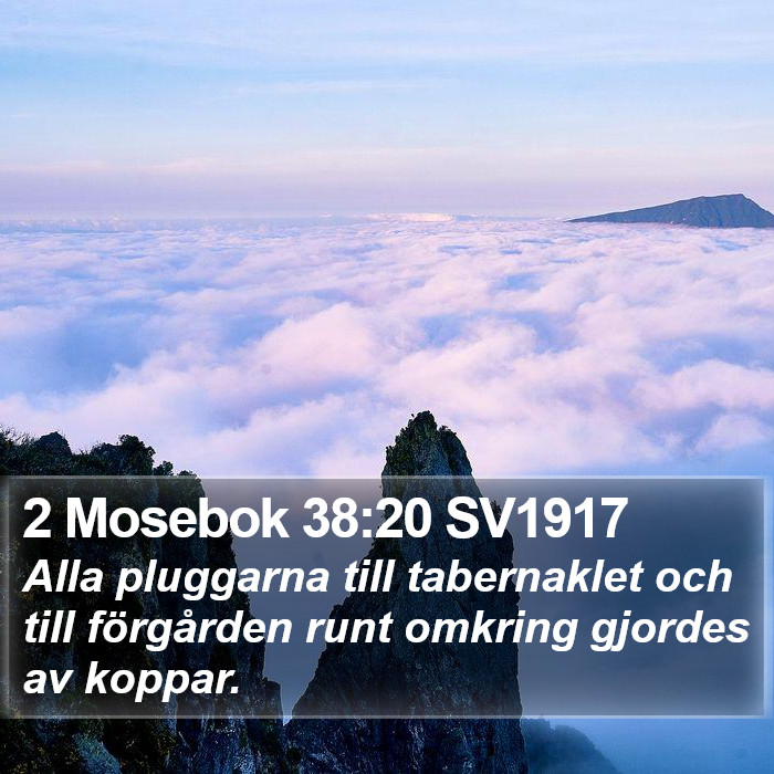 2 Mosebok 38:20 SV1917 Bible Study