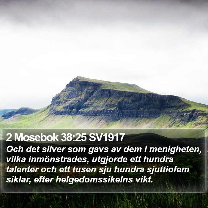 2 Mosebok 38:25 SV1917 Bible Study