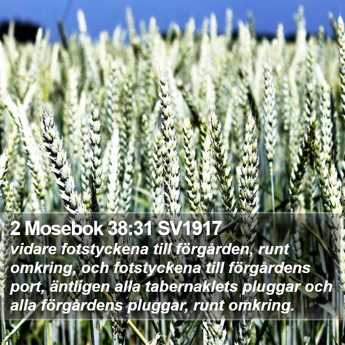 2 Mosebok 38:31 SV1917 Bible Study