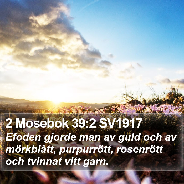 2 Mosebok 39:2 SV1917 Bible Study