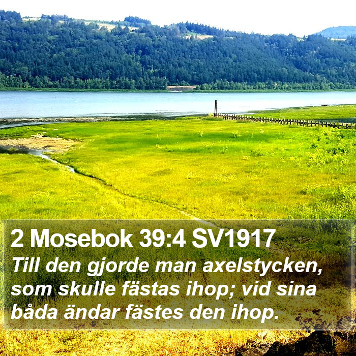 2 Mosebok 39:4 SV1917 Bible Study