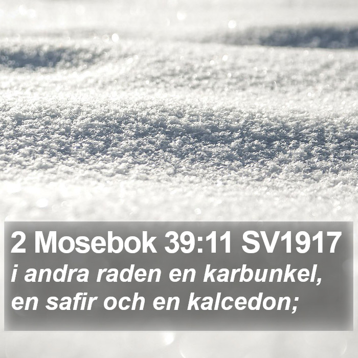 2 Mosebok 39:11 SV1917 Bible Study