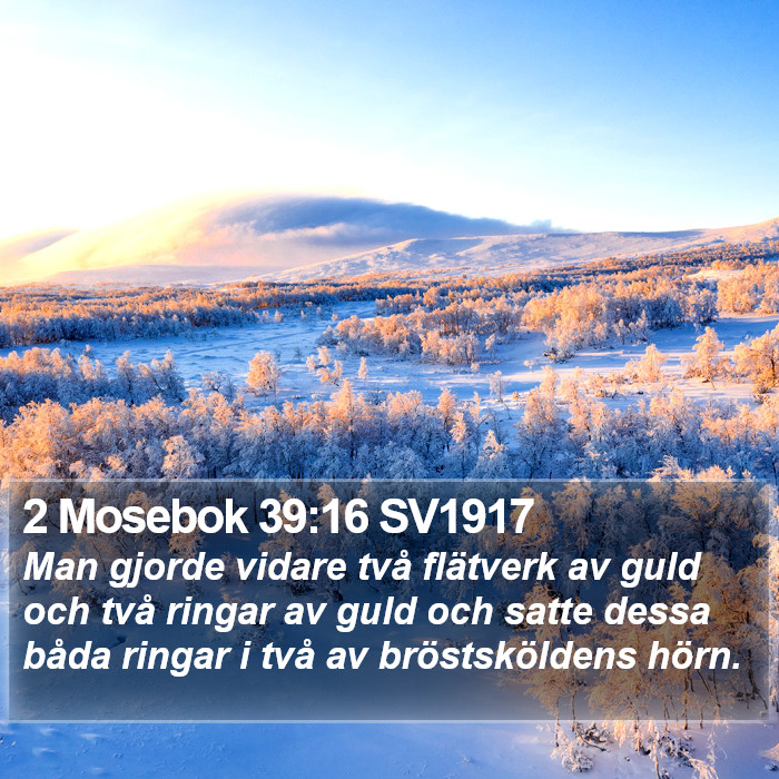 2 Mosebok 39:16 SV1917 Bible Study