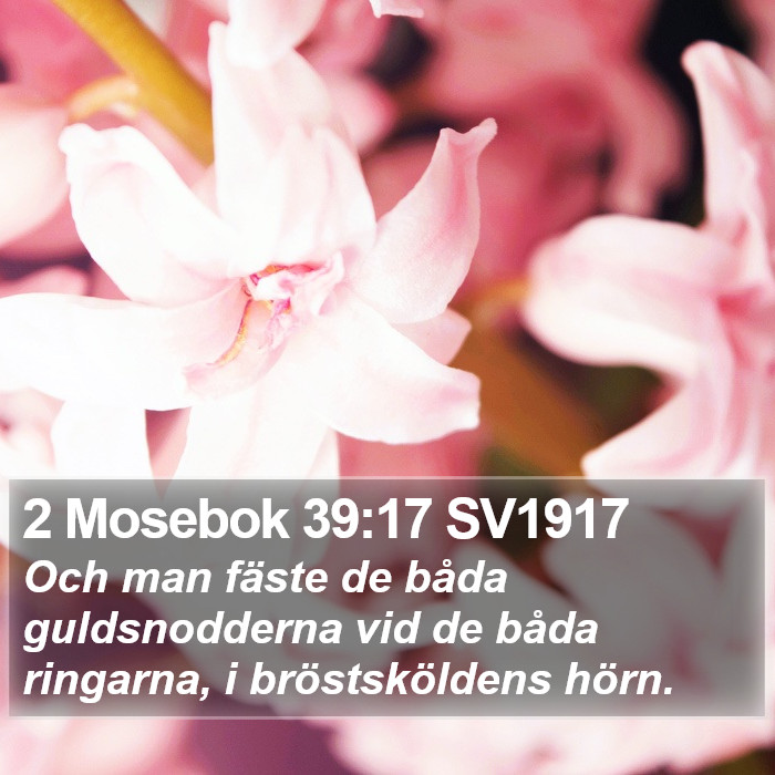 2 Mosebok 39:17 SV1917 Bible Study