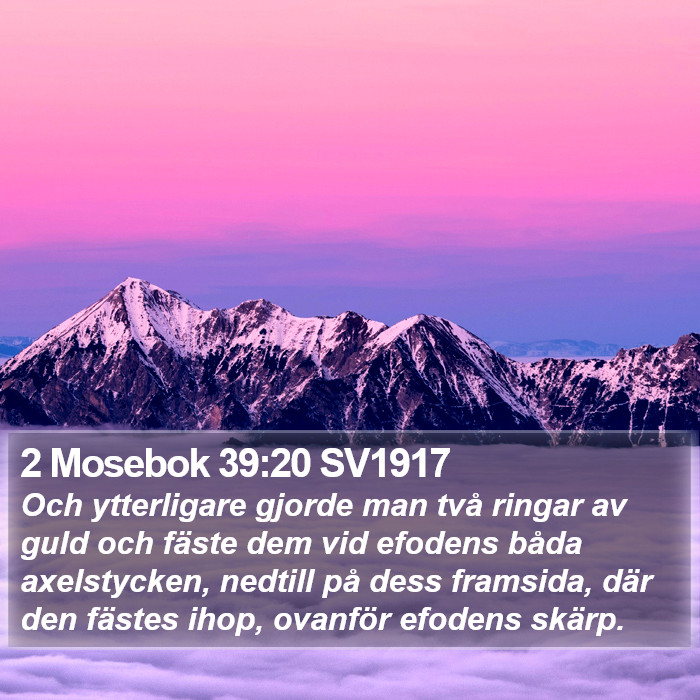 2 Mosebok 39:20 SV1917 Bible Study