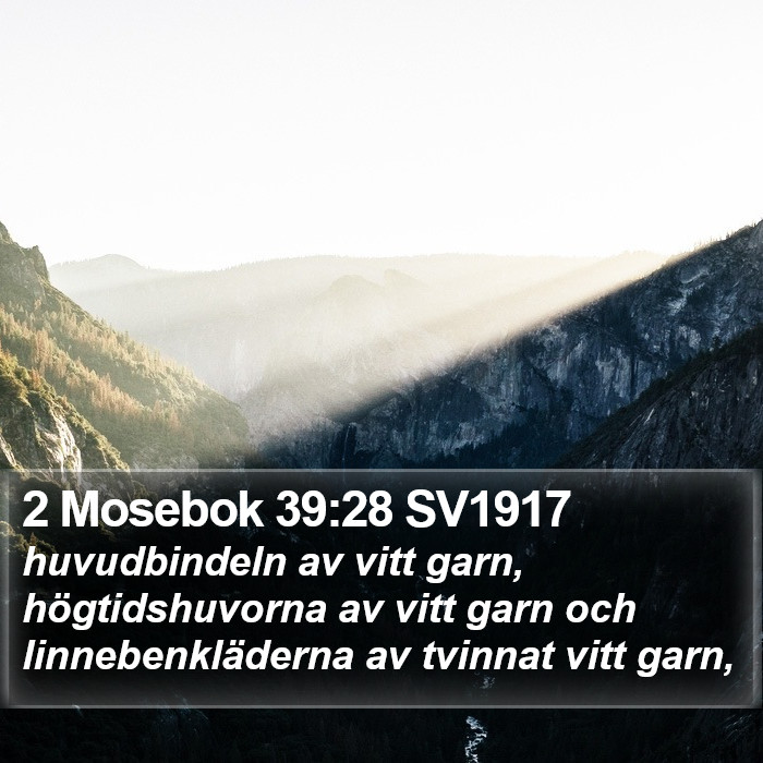 2 Mosebok 39:28 SV1917 Bible Study