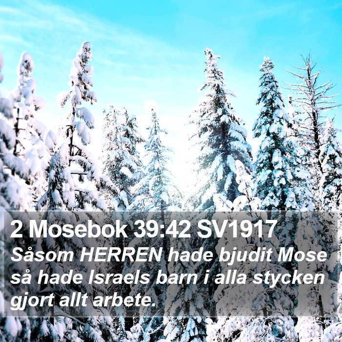 2 Mosebok 39:42 SV1917 Bible Study