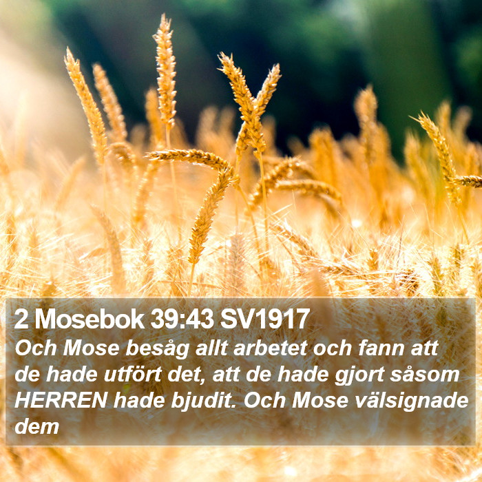 2 Mosebok 39:43 SV1917 Bible Study