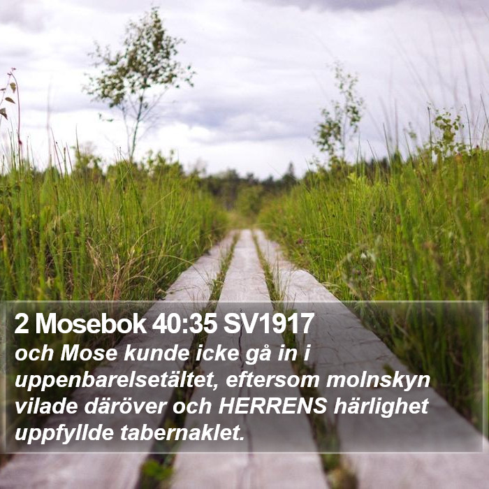 2 Mosebok 40:35 SV1917 Bible Study