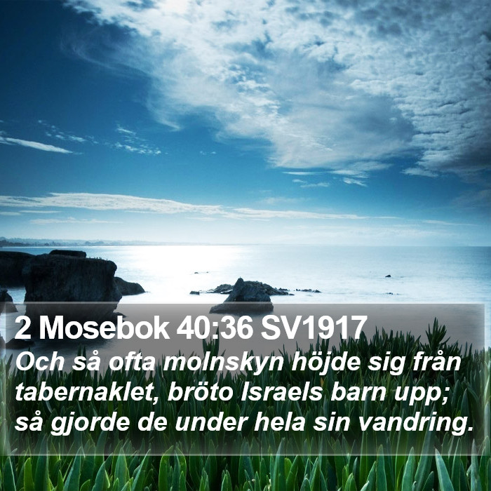 2 Mosebok 40:36 SV1917 Bible Study