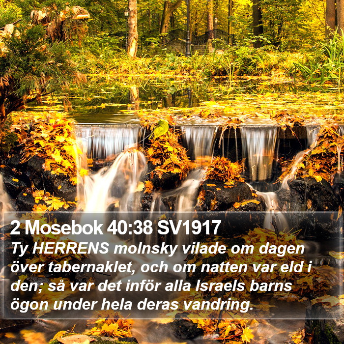 2 Mosebok 40:38 SV1917 Bible Study