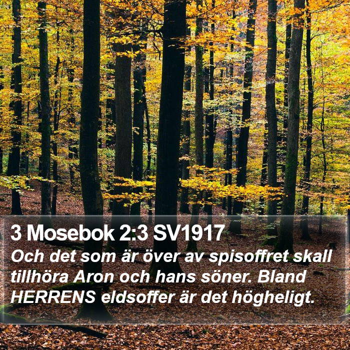 3 Mosebok 2:3 SV1917 Bible Study