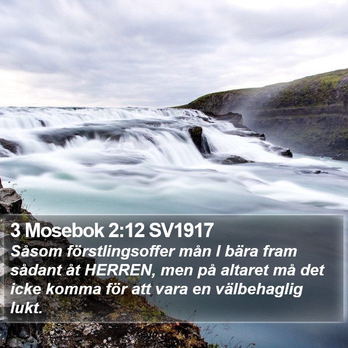 3 Mosebok 2:12 SV1917 Bible Study