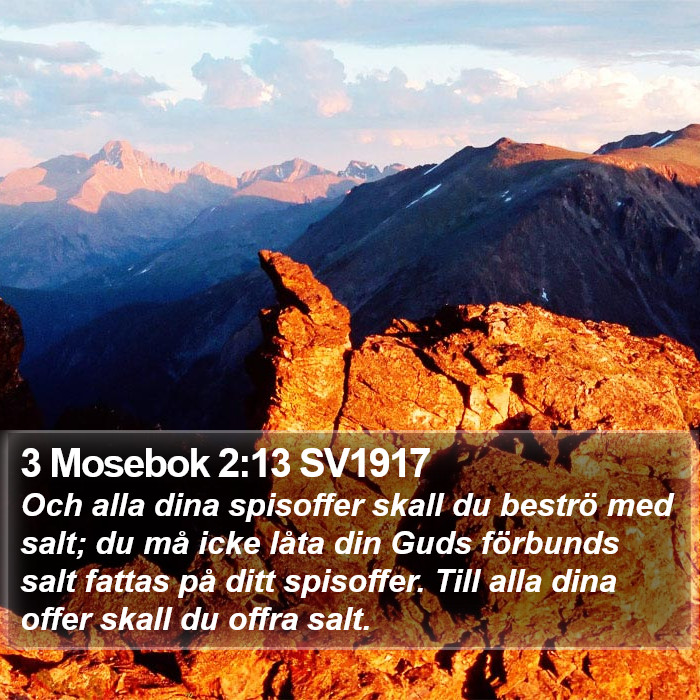 3 Mosebok 2:13 SV1917 Bible Study