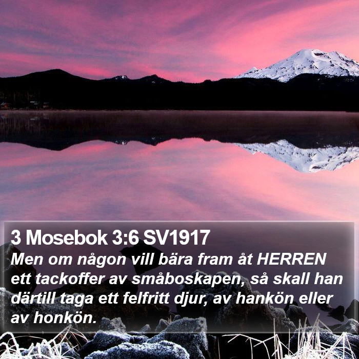 3 Mosebok 3:6 SV1917 Bible Study