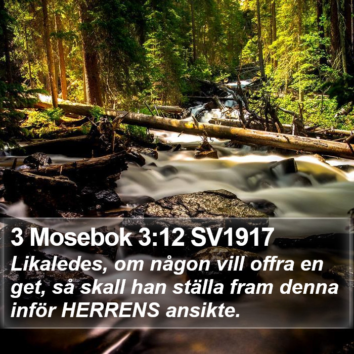 3 Mosebok 3:12 SV1917 Bible Study