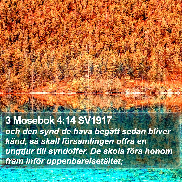 3 Mosebok 4:14 SV1917 Bible Study