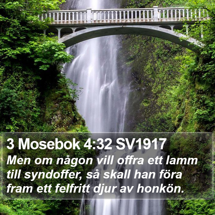 3 Mosebok 4:32 SV1917 Bible Study