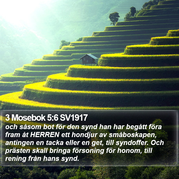 3 Mosebok 5:6 SV1917 Bible Study